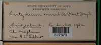 Image Associated With the Occurence